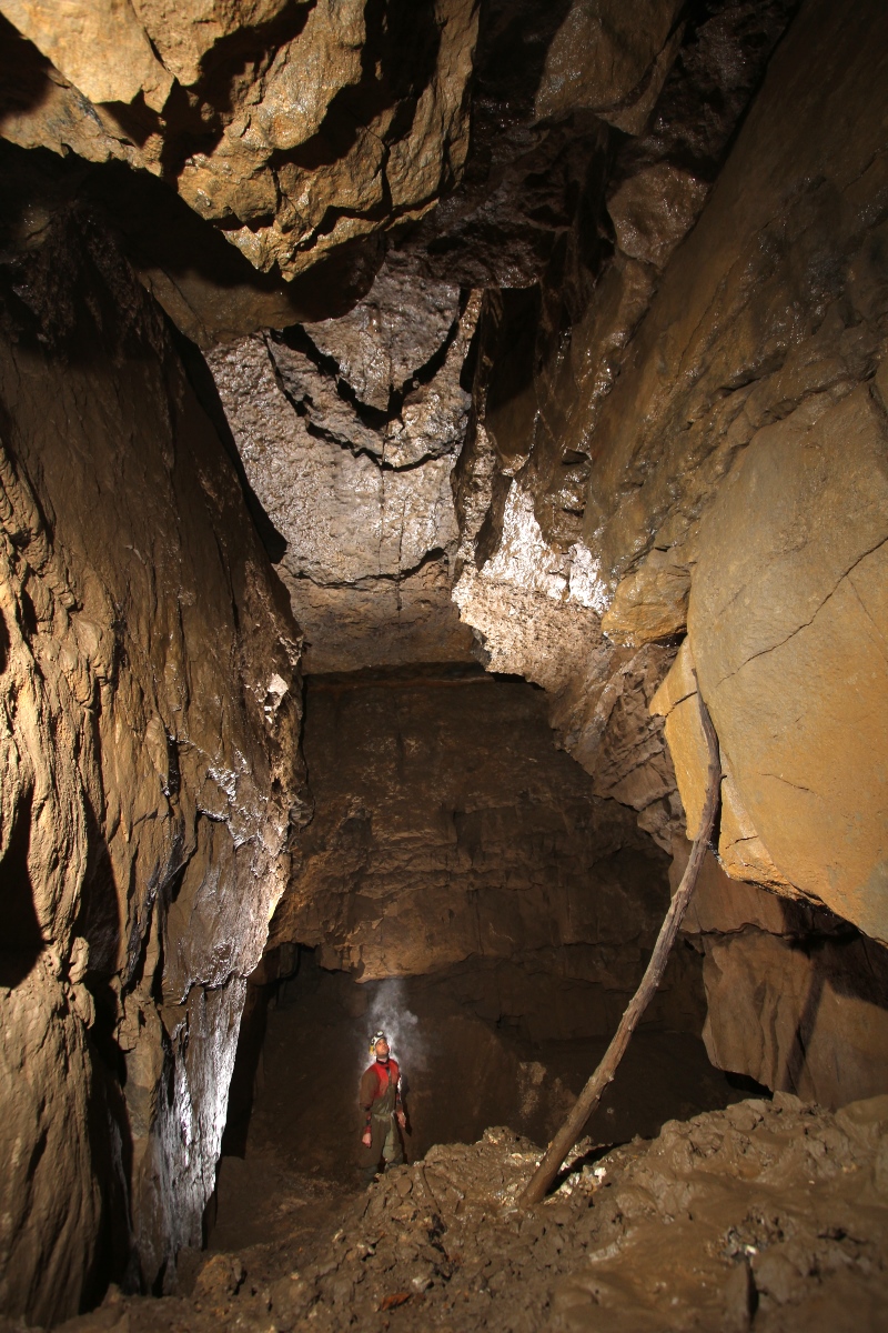 Intake Dale Main Chamber